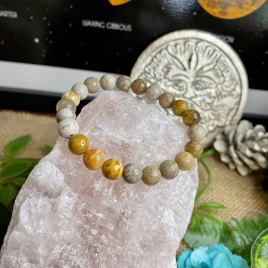 Fossil Coral Bead Bracelet