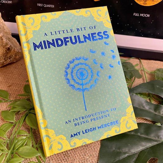 A Little Bit of Mindfulness - Amy Leigh Mercree